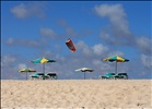 Sombrillas / Beach umbrellas